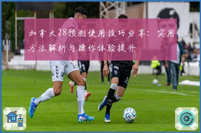 加拿大28预测使用技巧分享：实用方法解析与操作体验提升