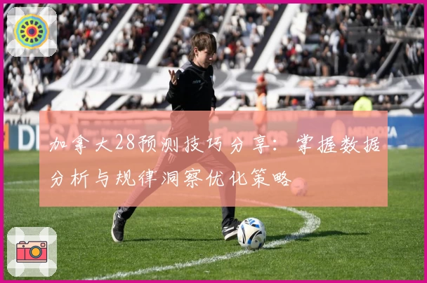 加拿大28预测技巧分享：掌握数据分析与规律洞察优化策略