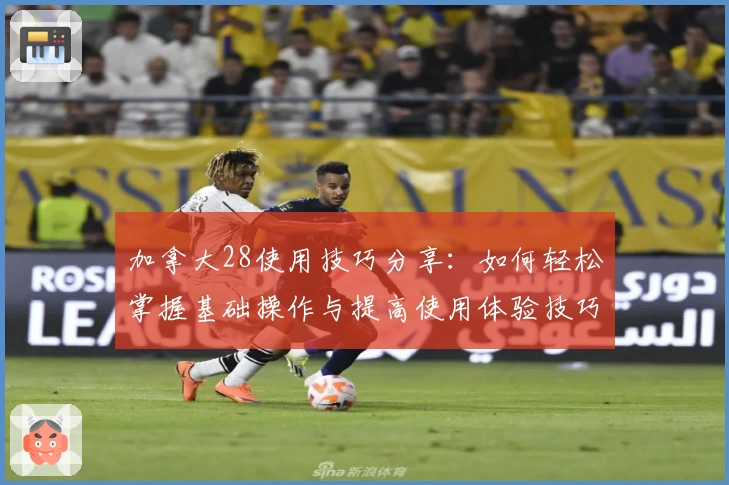 加拿大28使用技巧分享：如何轻松掌握基础操作与提高使用体验技巧