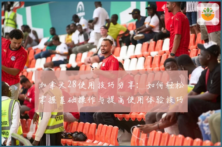 加拿大28使用技巧分享：如何轻松掌握基础操作与提高使用体验技巧