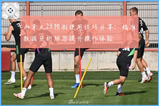 加拿大28预测使用技巧分享：精准数据分析助您提升操作体验