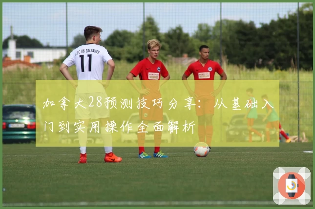 加拿大28预测技巧分享：从基础入门到实用操作全面解析