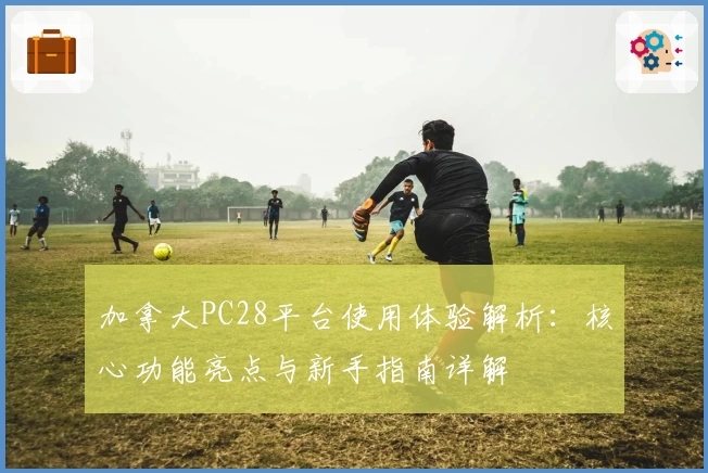 加拿大PC28平台使用体验解析：核心功能亮点与新手指南详解