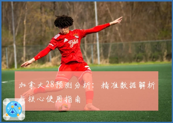 加拿大28预测分析：精准数据解析与核心使用指南