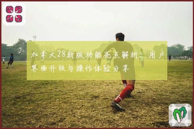 加拿大28新版功能亮点解析：用户界面升级与操作体验分享